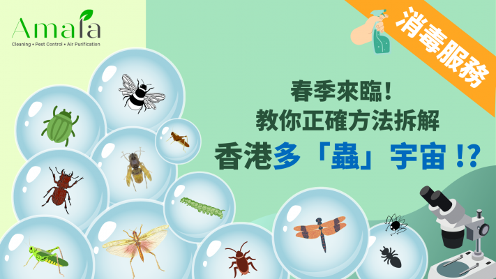 【消毒服務】春季來臨！教你正確方法拆解香港多「蟲」宇宙!?