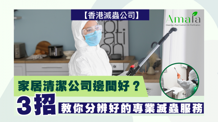 香港滅蟲公司 家居清潔公司 邊間好