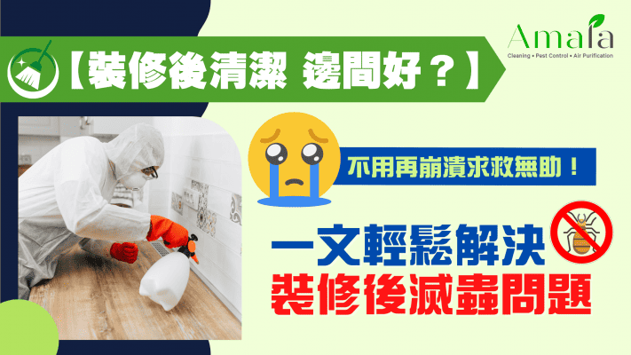 【裝修後清潔 邊間好？】不用再崩潰求救無助！ 一文輕鬆解決 裝修後滅蟲 問題