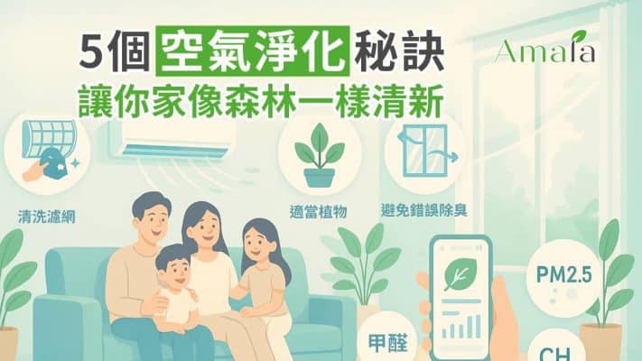 5個空氣淨化秘訣