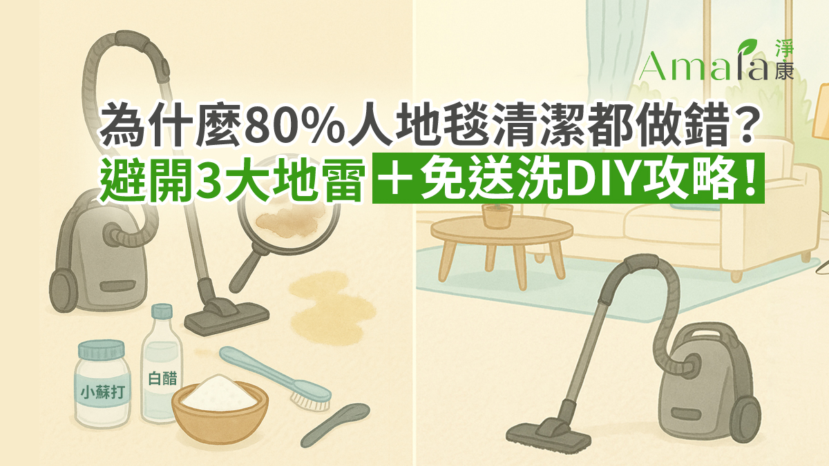 地毯清潔指南