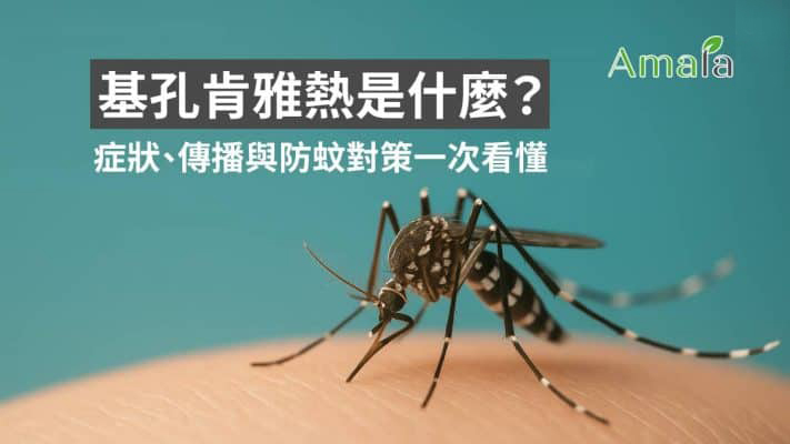基孔肯雅熱是什麼