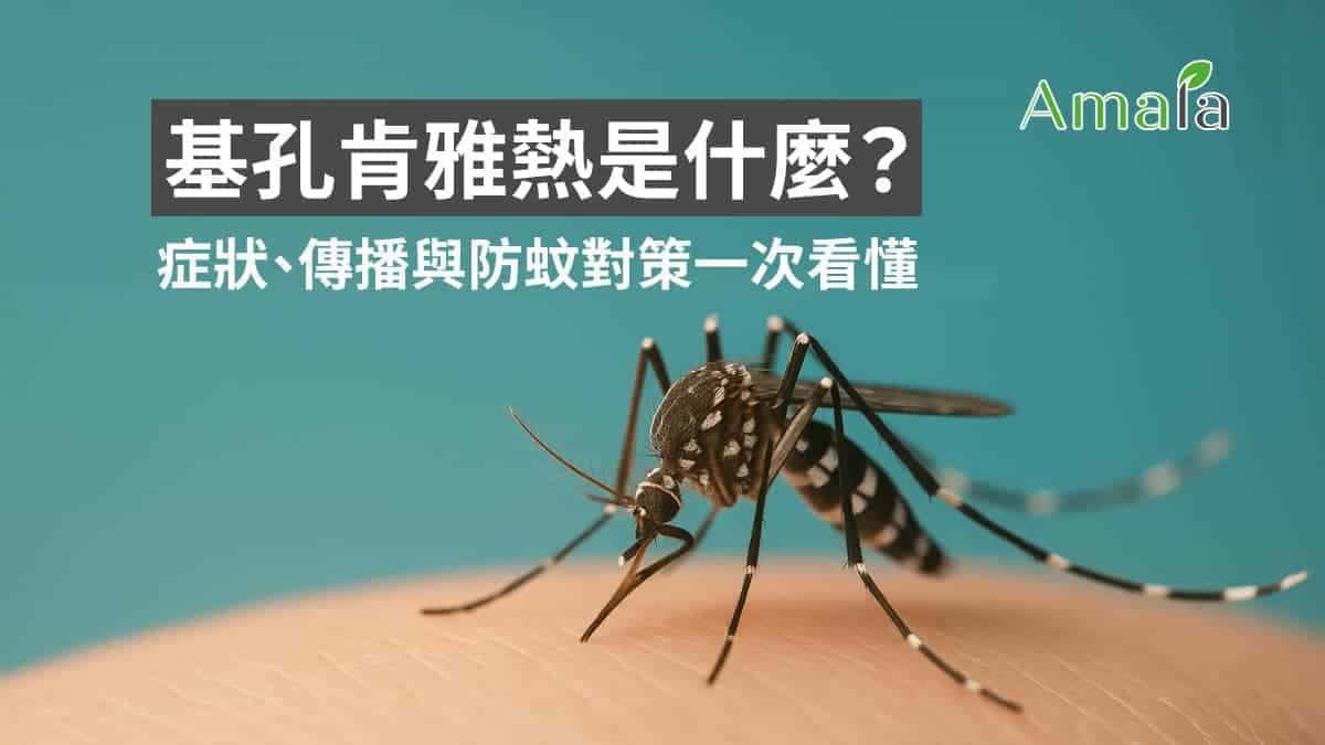 基孔肯雅熱是什麼