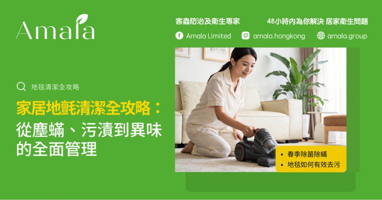 地氈清潔全攻略