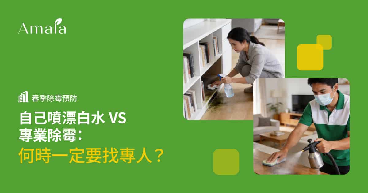 自己噴漂白水 VS 專業除霉：何時一定要找專人？