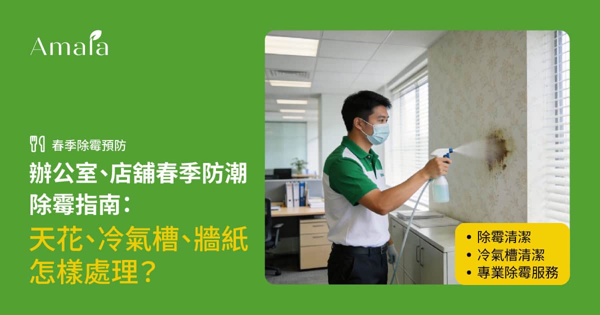辦公室、店舖春季防潮除霉指南：天花、冷氣槽、牆紙怎樣處理？
