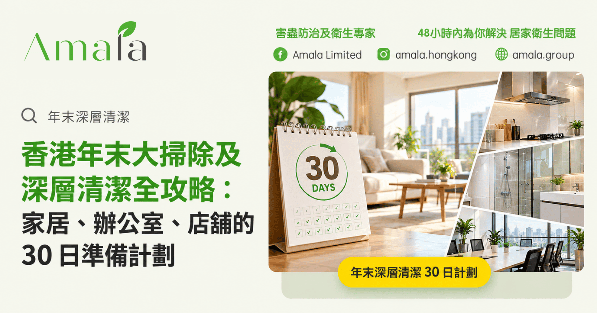 香港年末大掃除及深層清潔全攻略:家居、辦公室、店舖的30日準備計劃