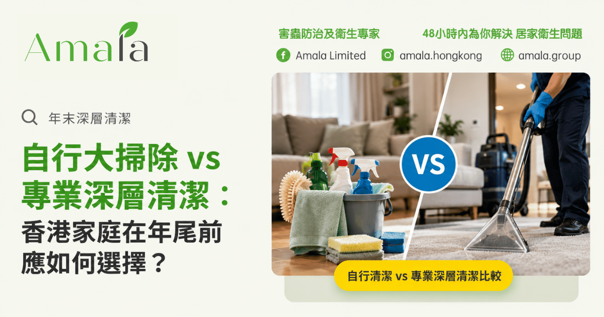 自行大掃除還是專業深層清潔?香港家庭年末清潔的選擇指南